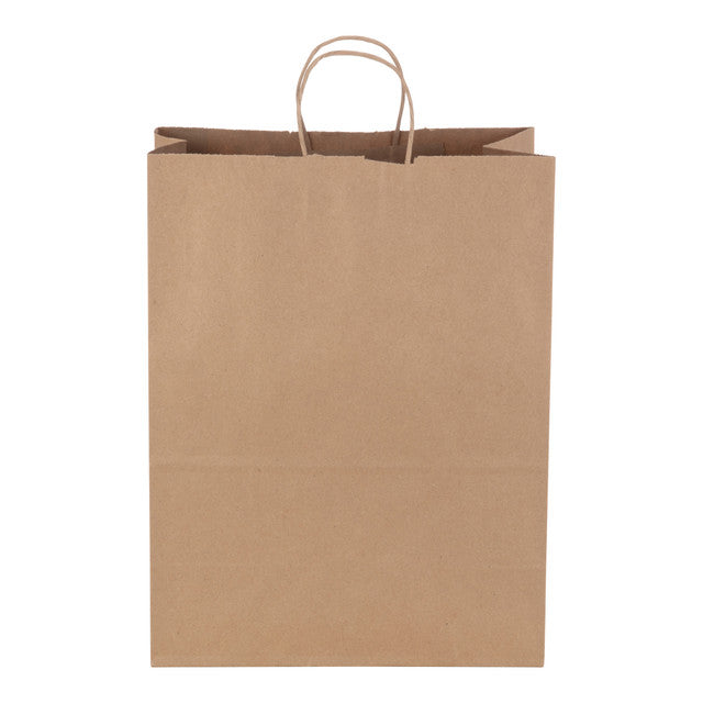 Twist Handle Kraft Bag