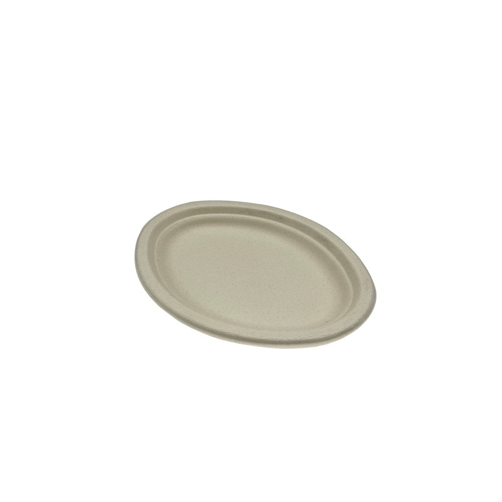 Natural White Bagasse Plates