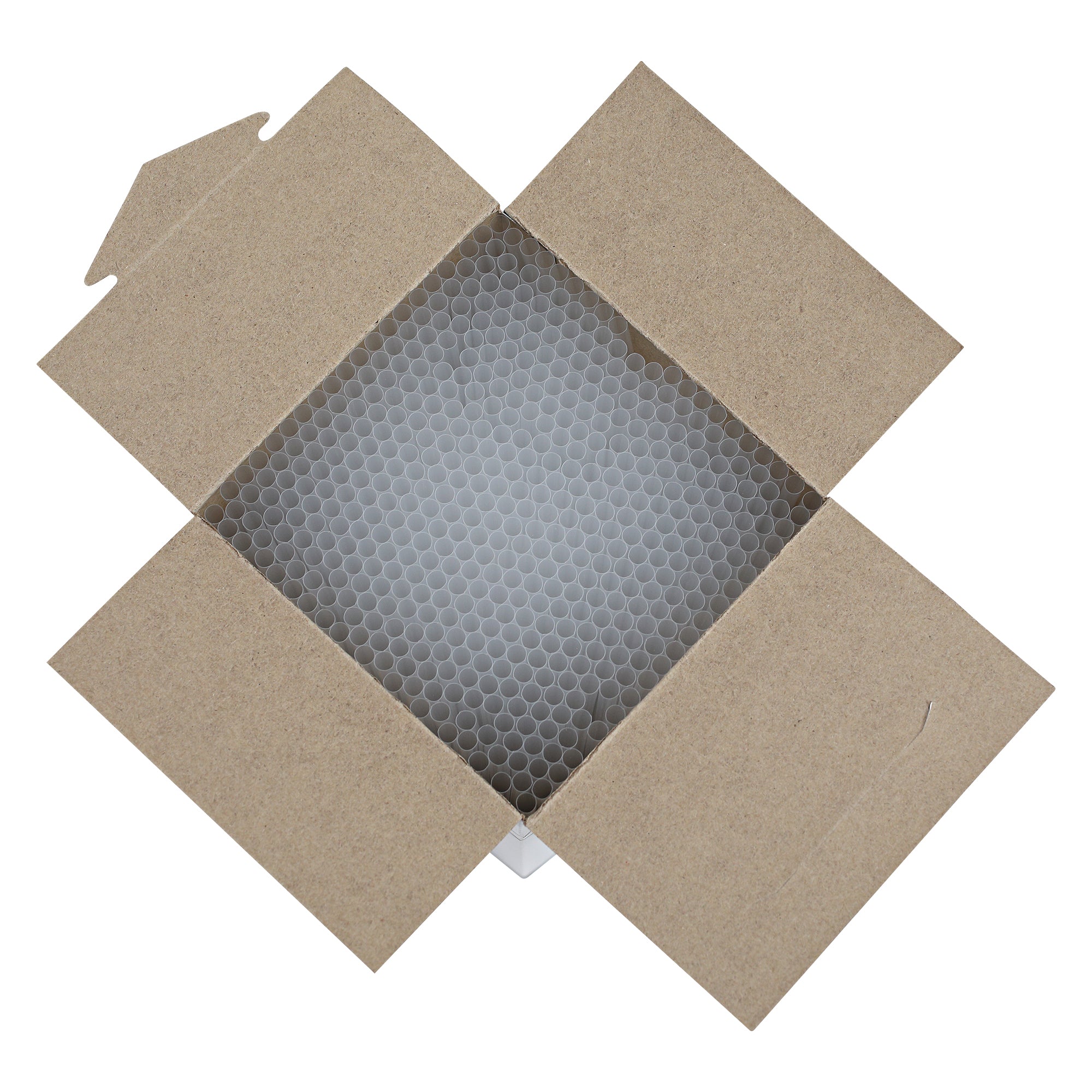 Unwrapped Clear Jumbo Straw