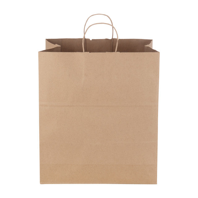 Twist Handle Kraft Bag