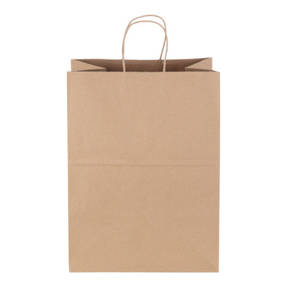 Twist Handle Kraft Bag