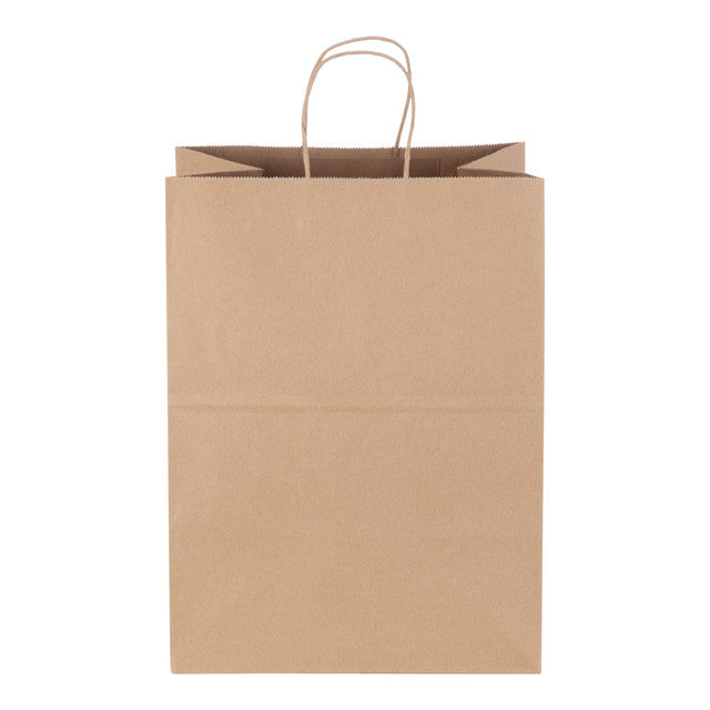 Twist Handle Kraft Bag
